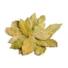 Bay Leaf Essential Oil