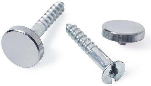 Mirror Screw