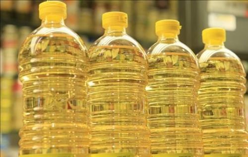 Common Refined Rapeseed Oil, Packaging Type : Pale Yellow, Yellow