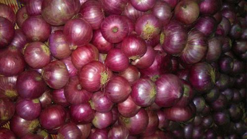 Fresh Onion
