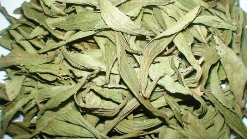 Stevia Leaves