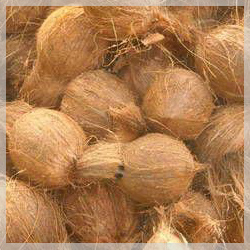 Common Coconut, For Cosmetics, Medicines, Pooja, Form : Solid