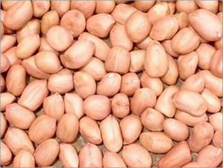 Organic Groundnut Seeds, Purity : 100%