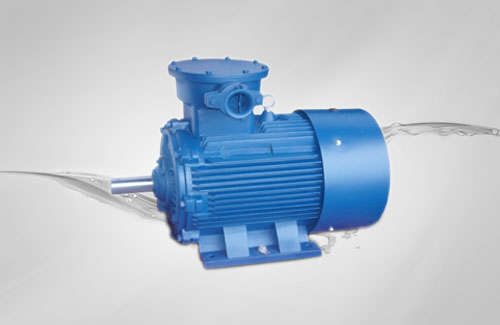 Explosion Proof Motor