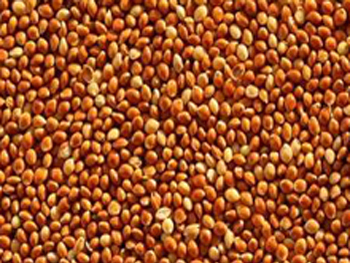 Red Millets