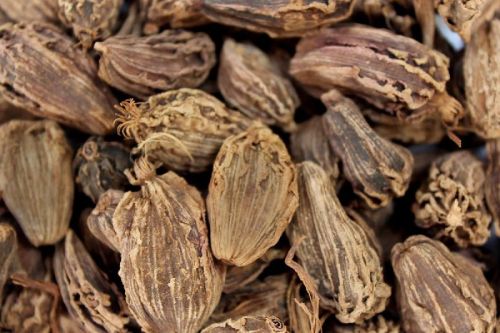 Black Cardamom, Style : Dried