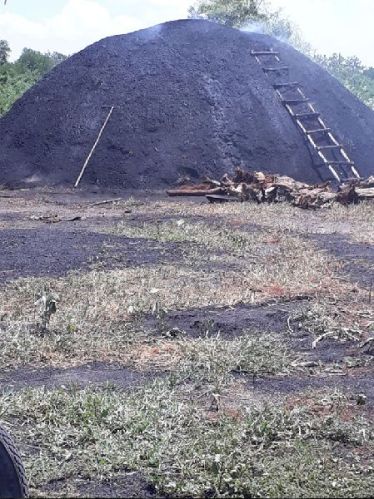 Wood charcoal, Application : High Heating,Grilling And Barbecuing