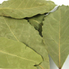 Bay Leaves