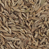 Cumin seeds, Moisture : 9%