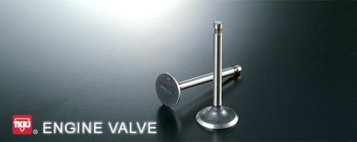 Engine Valve