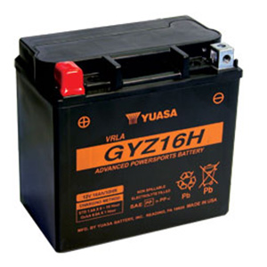Yuasa Battery