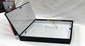 Box Lever Arch Files