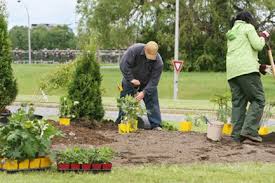 Garden Contractor Services