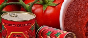 Tomato paste Form : Paste