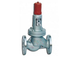 Back Flow Safety Valve