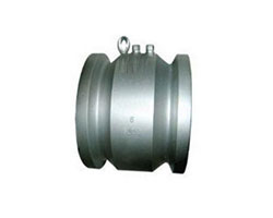 Non Slam Check Valve