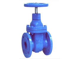 Resilent Gate Valve