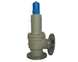 Spring Loaded Safety Valve