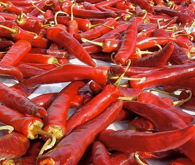 Hot Spicy Chaotian Dried Red Chili,chili Pepper Price