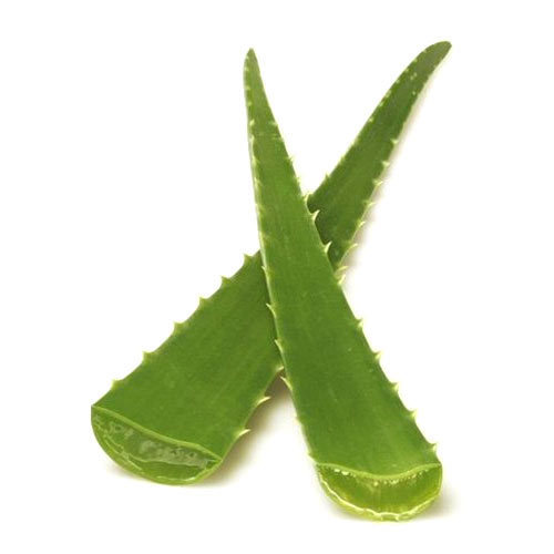 Aloe Vera Leaves, For Skin Products