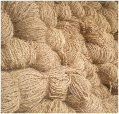 Coir Yarn