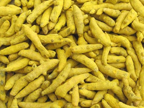 Turmeric Finger