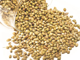 Coriander, Shelf Life : 12 Months