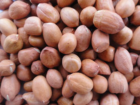 Groundnut Nutritional Information : High In Protein, Fiber, Healthy Fats