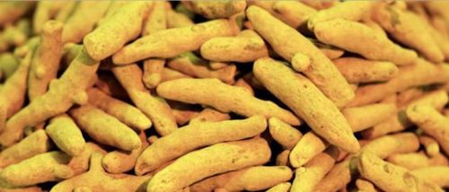 TURMERIC FINGERS AND BULB