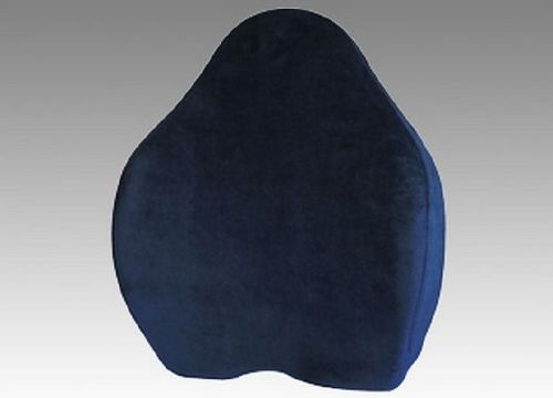 Back Support Cushion