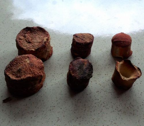 Gambier Extract, Brand Name : GB, Form : Solid