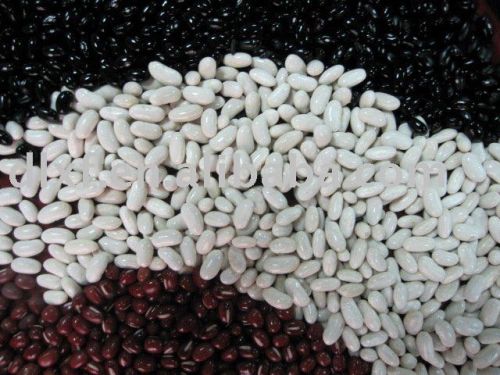White Red Kidney Beans