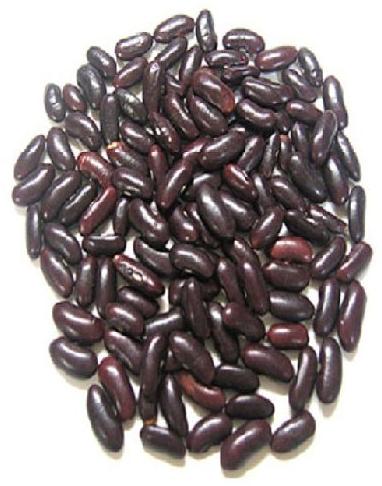 Black Kidney Beans