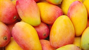 Common Fresh Mango,fresh Mango, For Direct Consumption, Food Processing, Juice Making, Packaging Size : 10-20kg