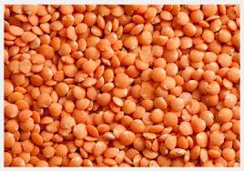 Red Lentil, Packaging Size : 1 Kg, 5 Kg, 2 Kg, 10 Kg