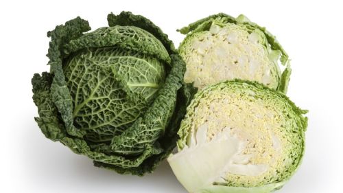 Common fresh cabbage, Packaging Type : Green