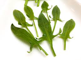 Organic Fresh Sorrel Leaves, Packaging Type : Green