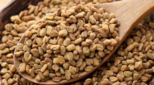 Fenugreek