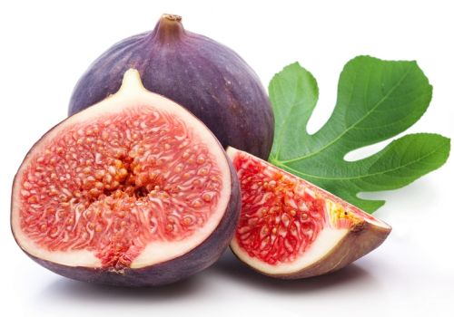 Common Fig