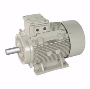 LUBI INDUCTION MOTOR