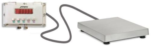Flameproof Weigh Scale