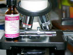 Immersion Oil