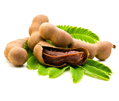 Tamarind, Shelf Life : 3 Months