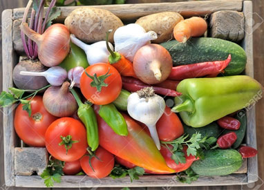 Fresh Organic Vegetables