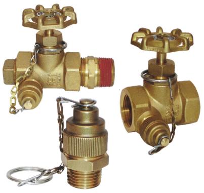 Drain Valves