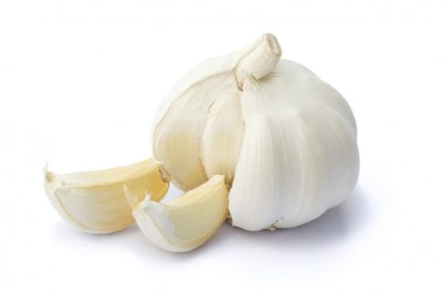 Garlic