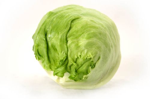 Lettuce Iceberg