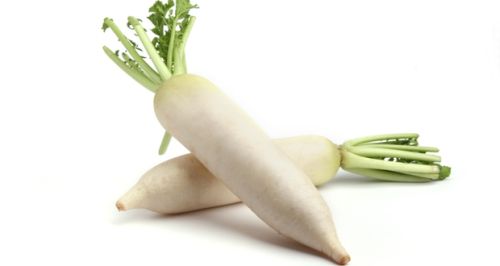 Radish