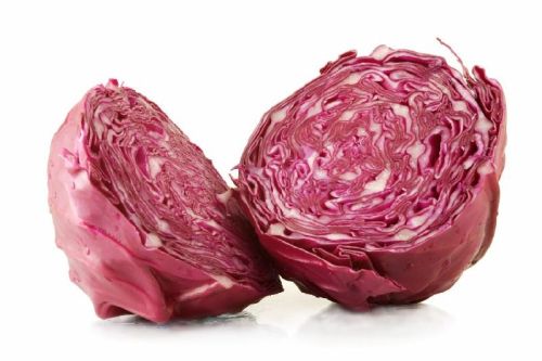 Red Cabbage