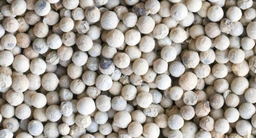 Raw Natural White Pepper, Shape : Round, Packaging Type : Creamy